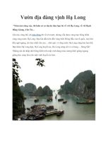 Vườn địa đàng vịnh Hạ Long pdf