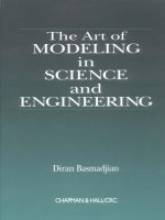 art of modelling in science and engineering