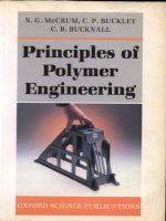 principles of polymer engineering