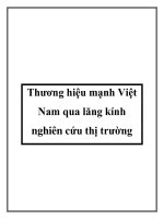 Thương hiệu mạnh Việt Nam qua lăng kính nghiên cứu thị trường pdf