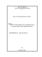 Nghiên cứu công nghệ sản xuất tinh bột acetat ứng dụng trong công nghiệp thực phẩm