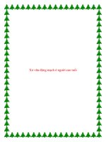 Xơ vữa động mạch ở người cao tuổi. pot