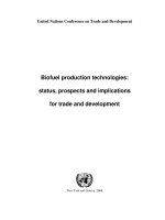 Biofuel production technologies: status, prospects and implications for trade and development pptx