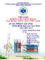 Đề tài: Tình Hình Bạo Lực Gia Đình ở Việt Nam potx