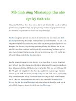 Mô hình sông Mississippi thu nhỏ cực kỳ tinh xảo pot