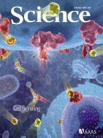 Tạp chí khoa học số  2007-10-05