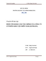 phân tích báo cáo tài chính của công ty cổ phần kho vận miền nam (sotrans)