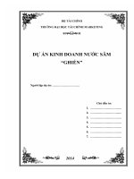 dự án kinh doanh nước sâm ghiền - đh tài chính marketing