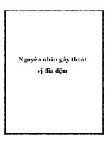 Nguyên nhân gây thoát vị đĩa đệm pptx