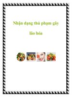 Nhận dạng thủ phạm gây lão hóa potx
