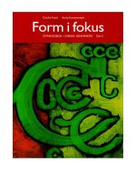  form i fokus övningsbok i svensk grammatik del c