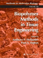 biopolymer methods in tissue engineering