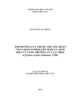 Ảnh hưởng của thuốc trừ sâu hoạt chất quinalphos lên sinh lý, sinh hóa và tăng trưởng của cá chép Cyprinus carpio Linnaeus, 1758