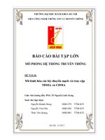 Mô hình hóa các bộ chuyển mạch và truy cập TDMA và CDMA