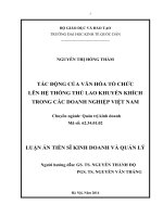 Tác động của văn hóa tổ chức lên hệ thống thù lao khuyến khích trong các doanh nghiệp Việt Nam