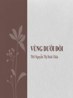Vùng dưới đồi doc