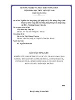 Nghiên cứu ứng dụng giải pháp xử lý nền móng công trình thuỷ lợi trên vùng đất yếu đồng bằng sông cửu long bằng cột đất xi măng khoan trộn sâu