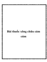 Bài thuốc xông chữa cảm cúm potx