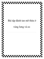 Bài tập đánh tan mỡ thừa ở vùng lưng và eo pdf