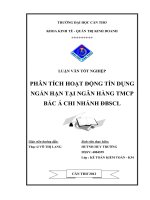 PHÂN TÍCH HOẠT ĐỘNG TÍN DỤNG NGẮN HẠN TẠI NGÂN HÀNG TMCP  BẮC Á CHI NHÁNH ĐBSCL