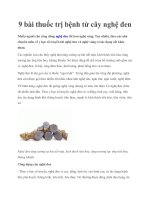 9 bài thuốc trị bệnh từ cây nghệ đen pptx