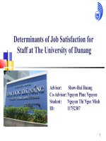 Determinants of Job Satisfaction for  Staff at The University of Danang