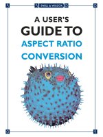 A user's guide to aspect ratio conversion