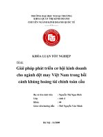 Giải pháp phát triển cơ hội kinh doanh cho ngành dệt may Việt nam trong khủng hoảng tài chính hiện nay