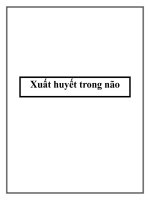 Xuất huyết trong não pdf