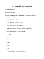 Xây dựng chiến lược eMarketing docx