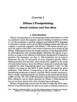 dna protein interactions