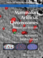 mammalian artificial chromosomes, methods and protocols