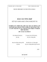 Nghiên cứu, thiết kế ché tạo máy tự động làm sạch bề mặt (bằng công nghệ sử dụng hạt nix) và sơn thành vỏ tàu nhằm giảm thiểu ô nhiễm môi trường