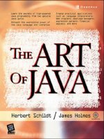 the art of java 2003
