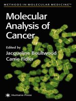 molecular analysis of cancer - carrie fidler
