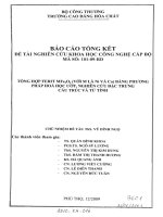 Tổng hợp ferit MFe2O4 (với m là ni và co) bằng phương pháp hóa học ướt, nghiên cứu đặc trưng cấu trúc và từ tính