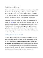 Bảy giai đoạn của một lãnh đạo potx