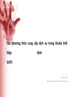 các phương thức cung cấp dịch vụ trong khuôn khổ hiệp định gats