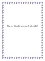 Tổng hợp những bài ca dao chủ đề kiêu hãnh pptx