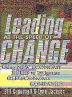 Leading at the speed of change (2001)