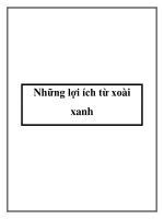 Những lợi ích từ xoài xanh pot