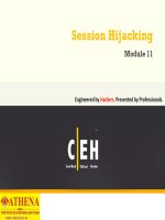 ATHENA CEH v7 module 11