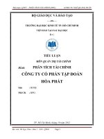 PHÂN TÍCH TÀI CHÍNH  CÔNG TY CỔ PHẦN TẬP ĐOÀN  HÒA PHÁT