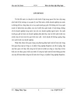 báo cáo thực tập:hoàn thiện công tác kế toán cho Công ty cổ phần Công nghiệp Hapulico