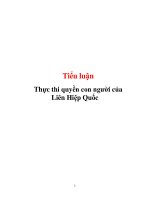 Tiểu luận: Thực thi quyền con người của Liên Hiệp Quốc doc