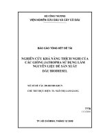 nghiên cứu khả năng thích nghi của các giống jatropha sử dụng làm nguyên liệu để sản xuất dầu biodiesel