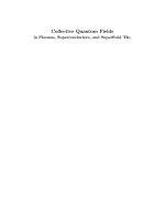 kleinert. collective quantum fields 