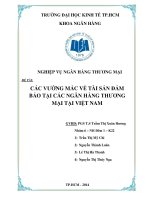 Các vướng mắc về tài sản đảm bảo tại các ngân hàng thương mại tại Việt Nam