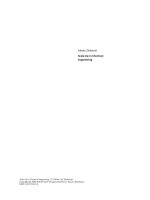 scale-up in chemical engineering, 2nd edition, 2006