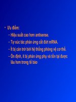 RNA các nghiên cứu và ứng dụng (tt) ppt